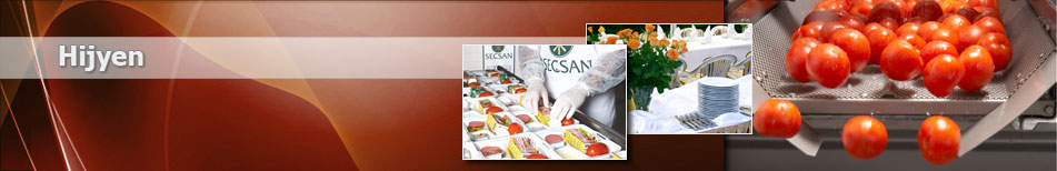 seçsan yemek firması yemek firmaları