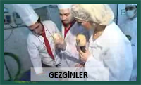 gezginler